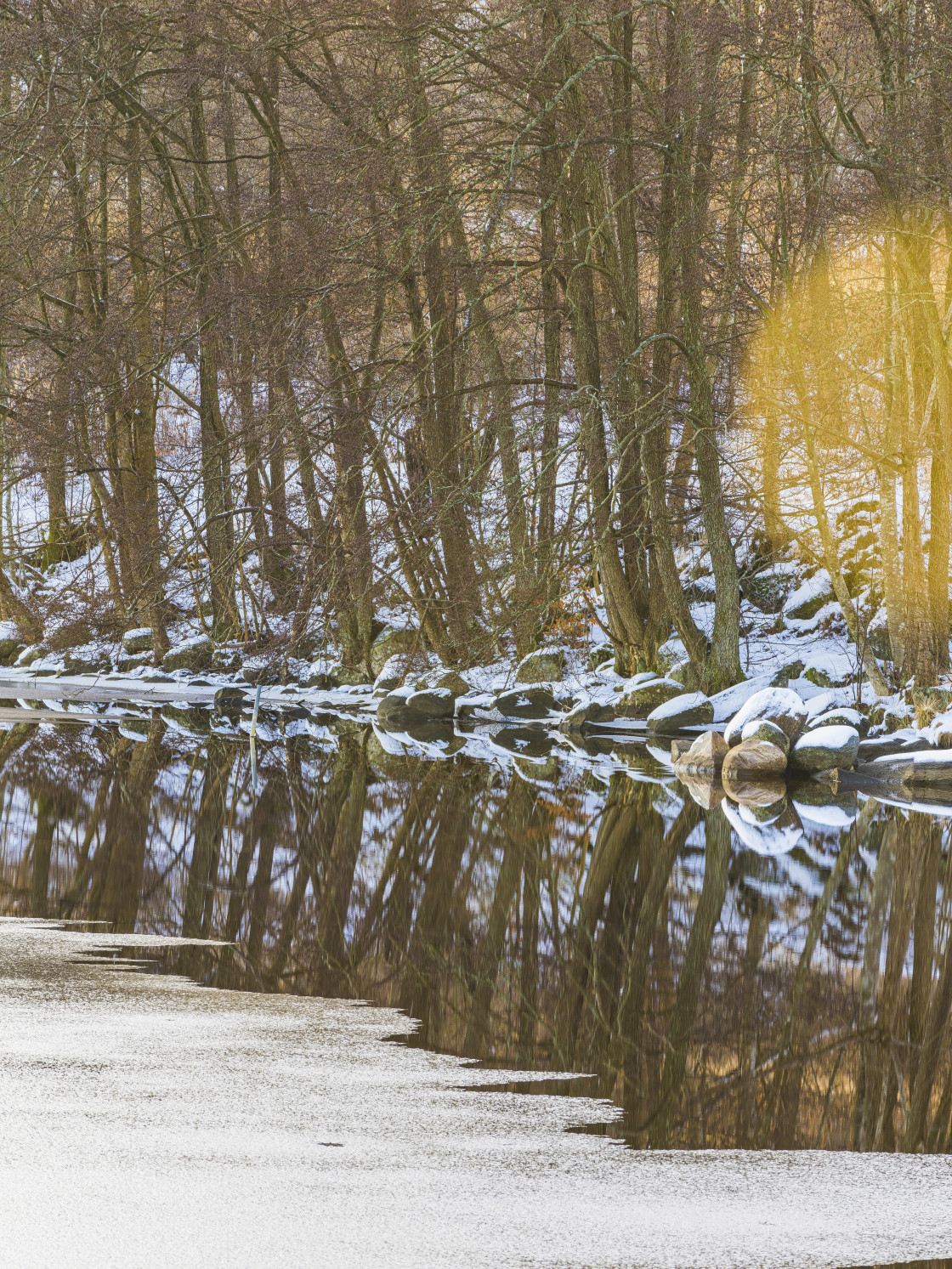 "Trees reflected in lake" stock image