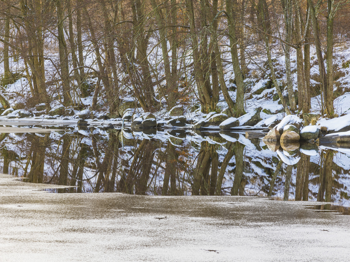 "Trees reflected in lake" stock image