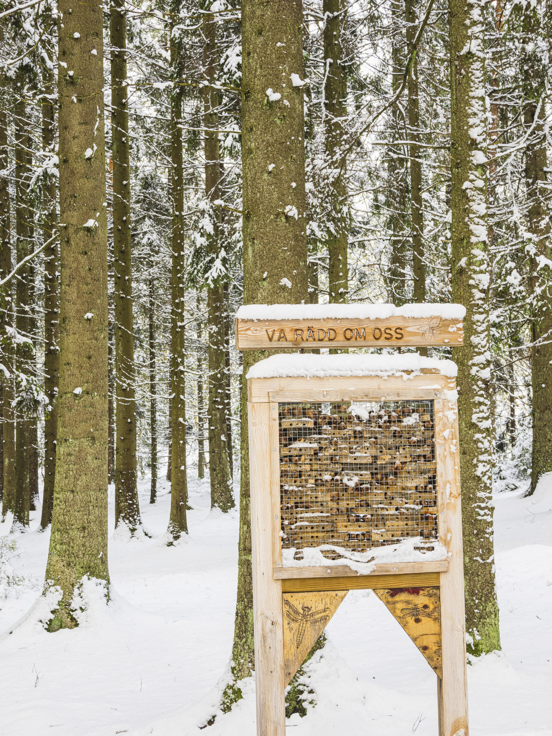 "Natures Winter Beauty at a Bug Hotel" stock image