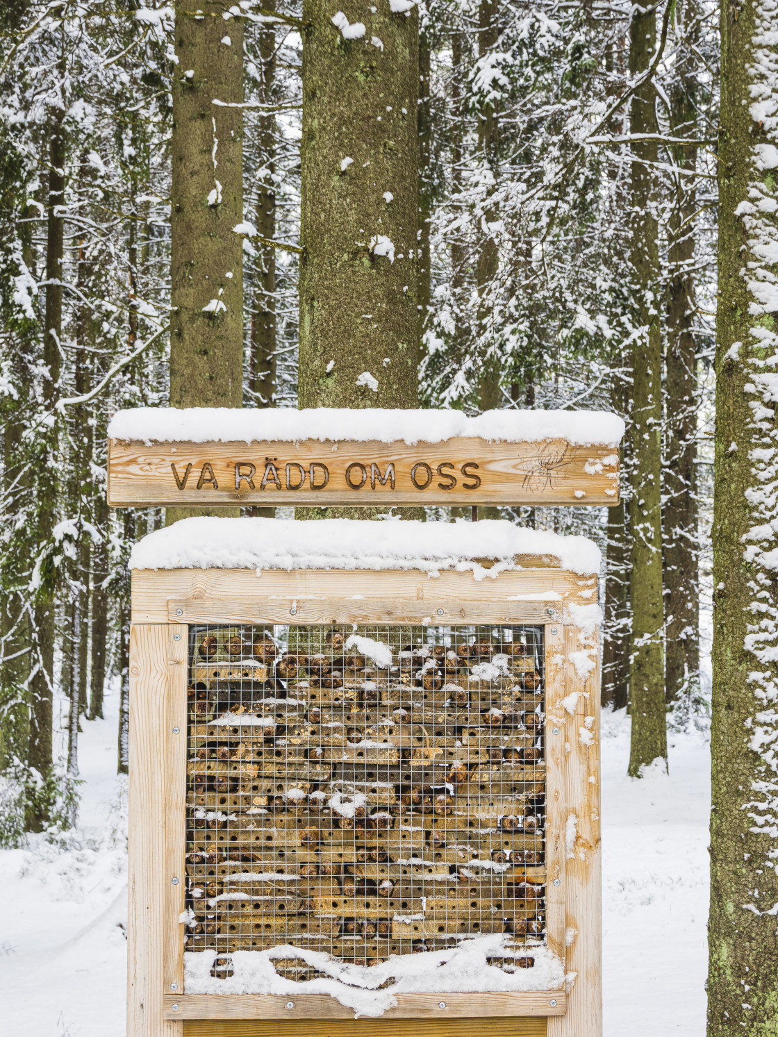 "Natures Winter Beauty at a Bug Hotel" stock image