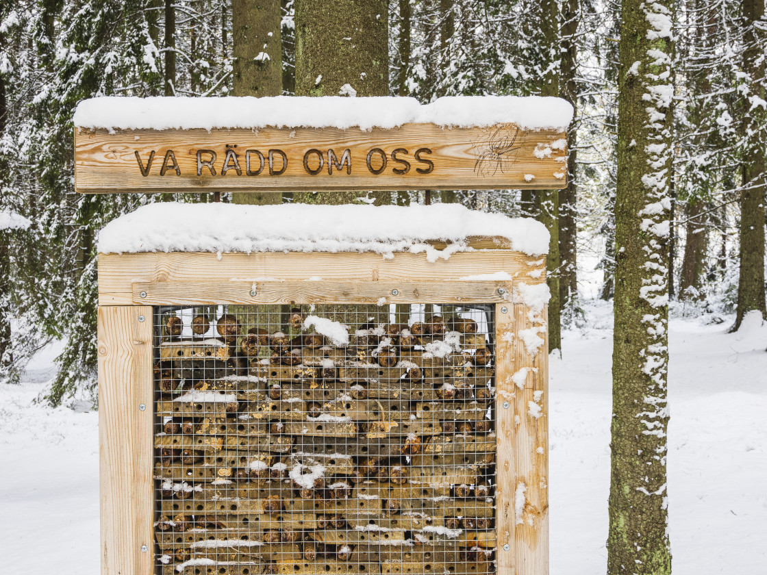 "Natures Winter Beauty at a Bug Hotel" by Mikael Svensson Photography - $15.63 "Natures Winter Beauty at a Bug Hotel" stock image