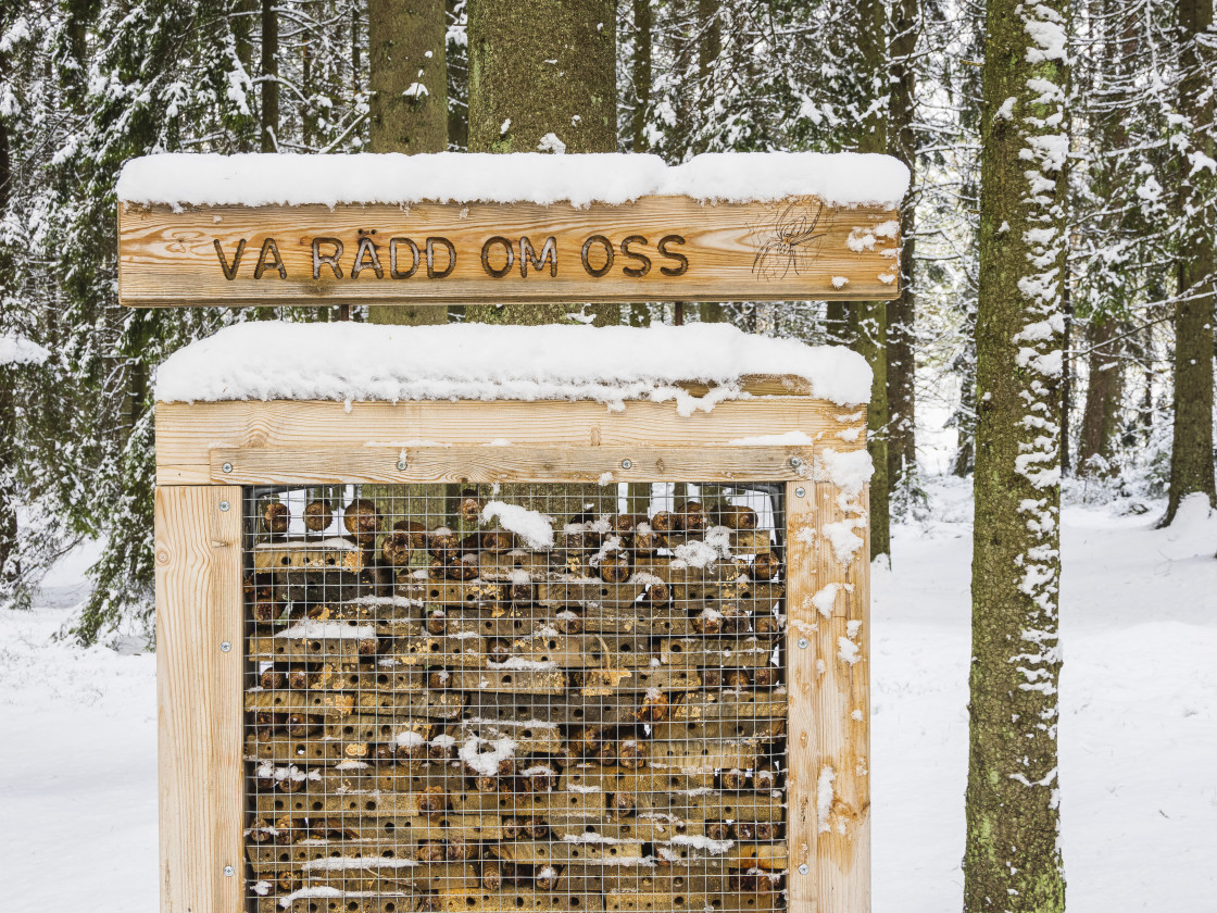 "Natures Winter Beauty at a Bug Hotel" stock image