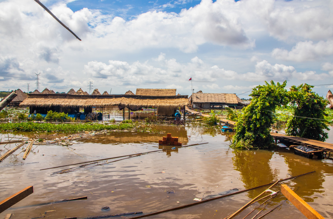 "Vegetation at Tonle Sap Lake near Siem Reap and the Angkor Park in Cambodia" stock image