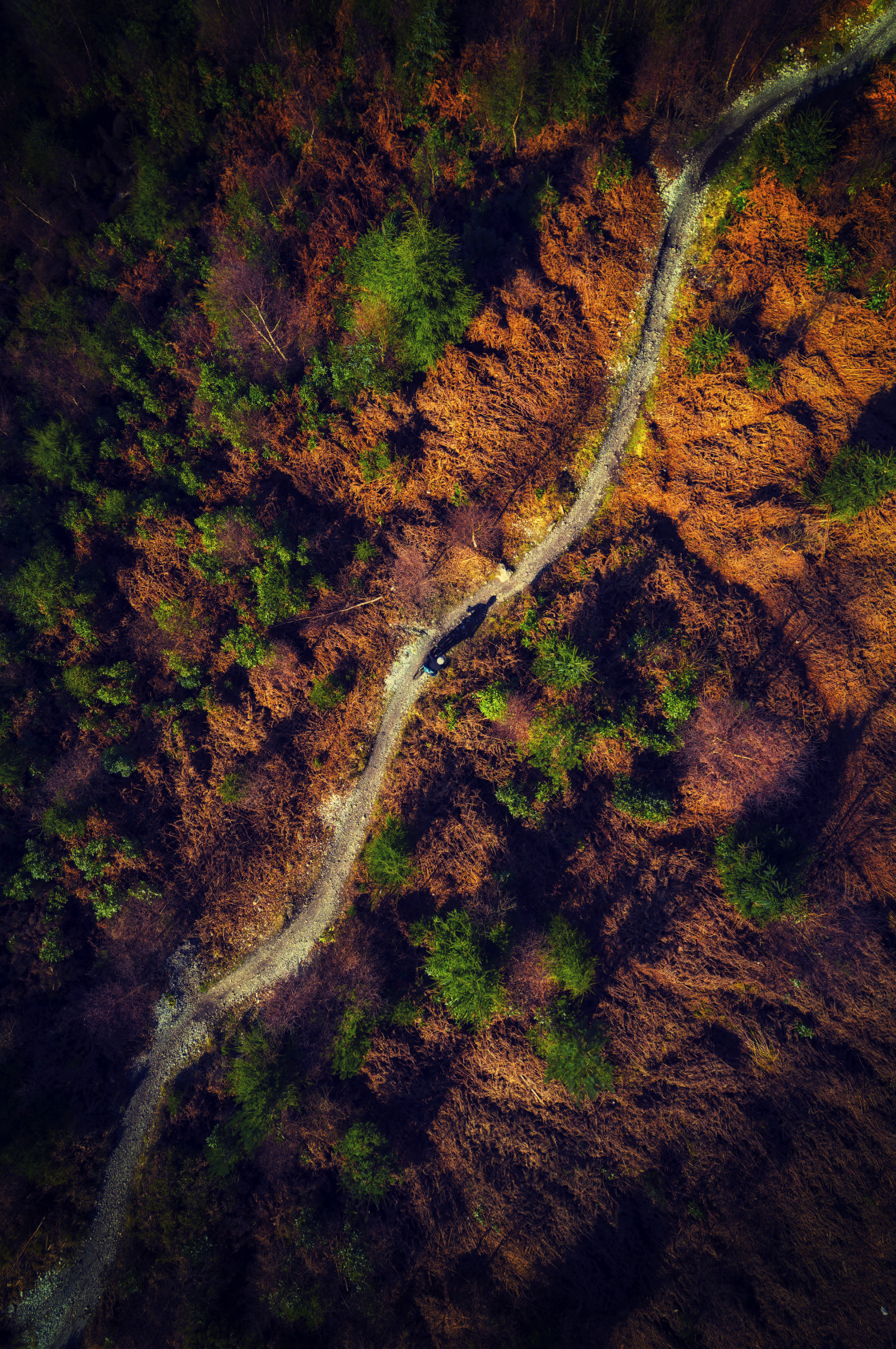 "Chasing Shadows" stock image