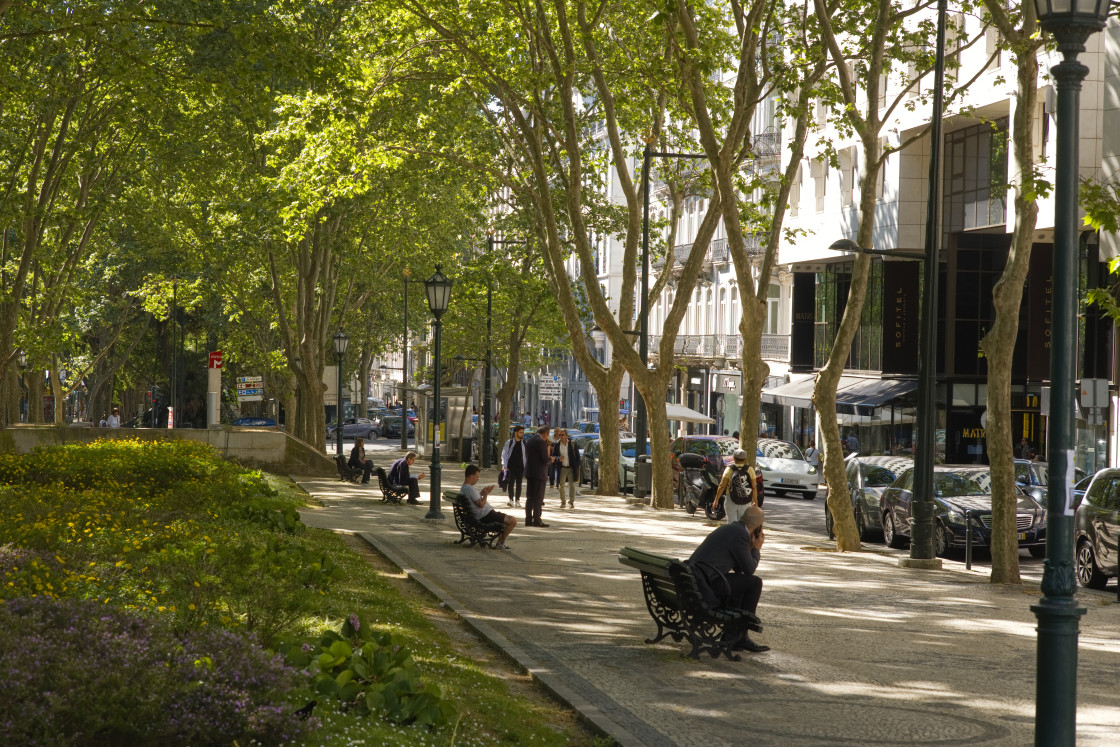 "Avenida da Liberdade the upmarket shopping street in Lisbon" stock image