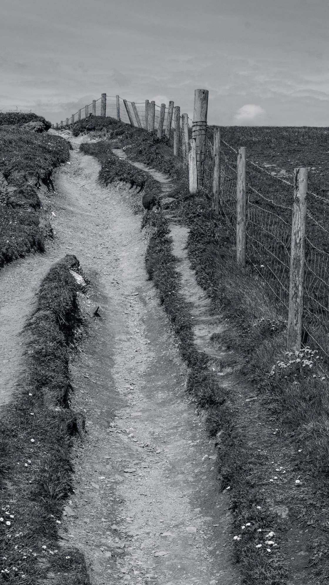 "Trodden Path" stock image