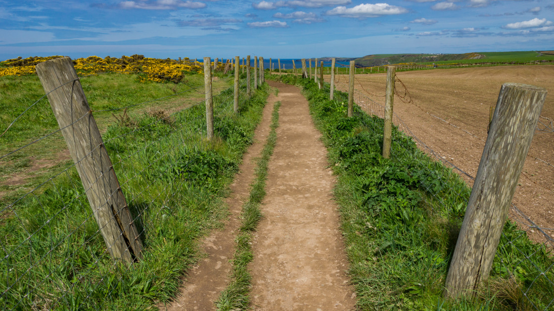 "Path through the Fences" stock image