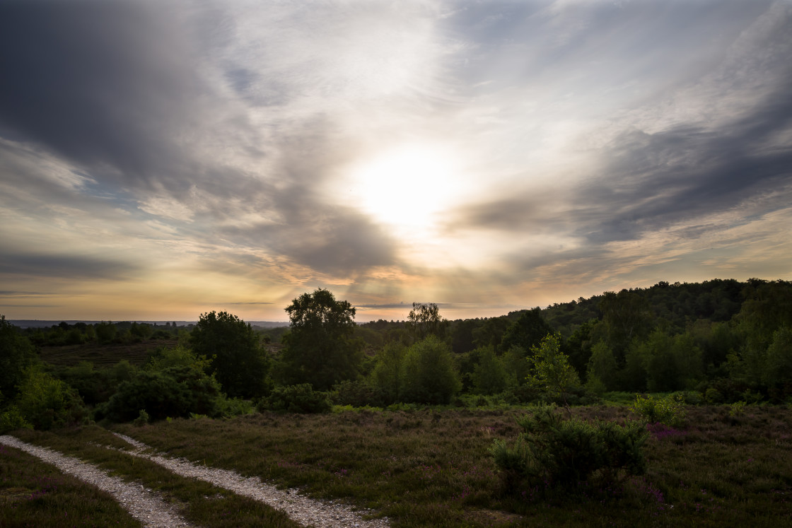 "Early Morning Sky over Heathland" by Gordon England - $12.56 "Early Morning Sky over Heathland" stock image