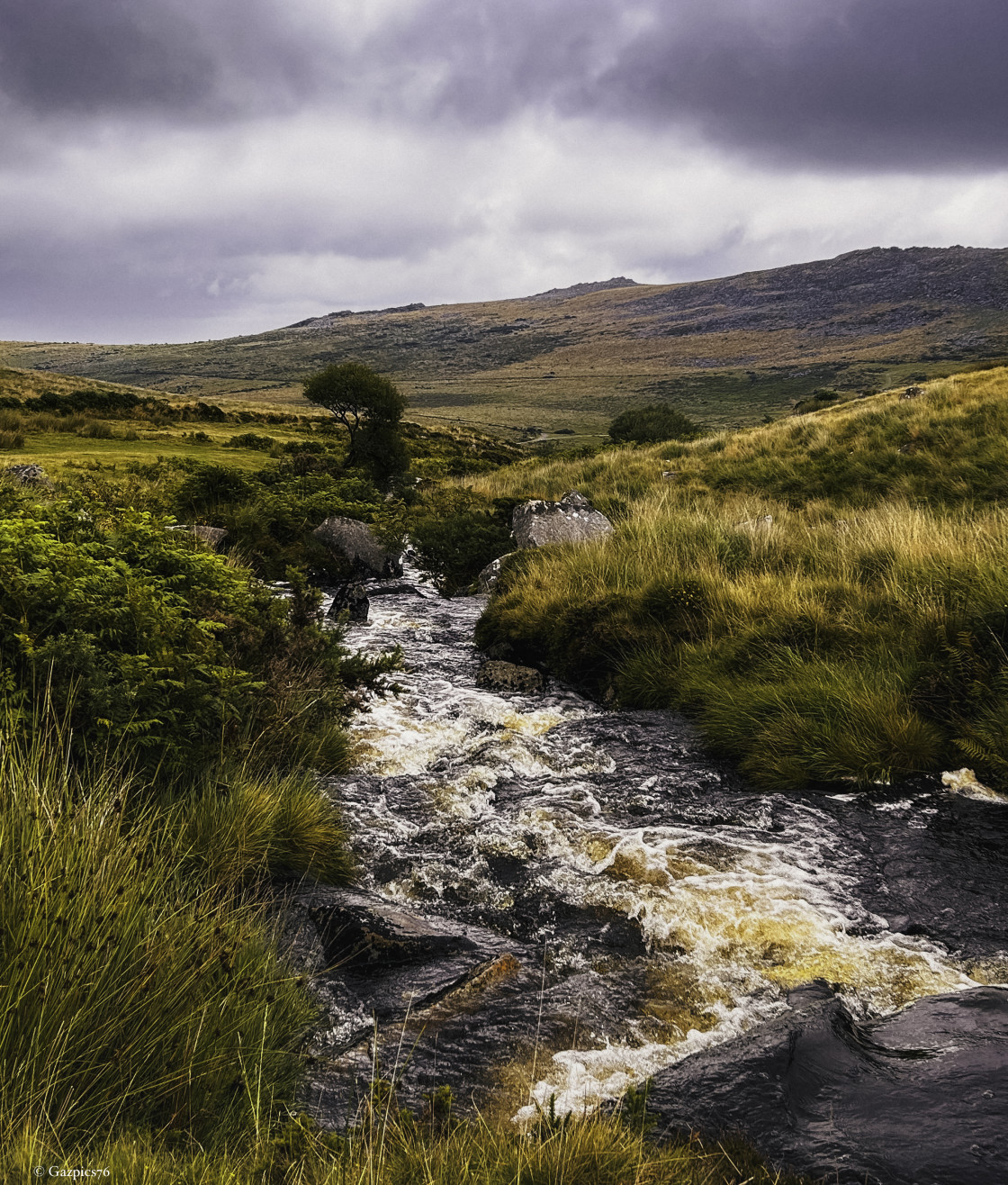 "A Dartmoor Stream ( 2023 )" stock image