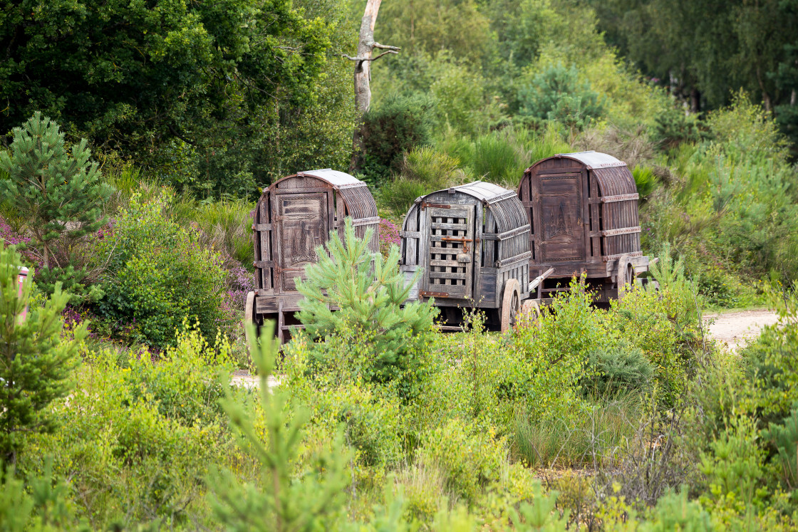 "Medieval Wagons" by Gordon England - $12.69 "Medieval Wagons" stock image