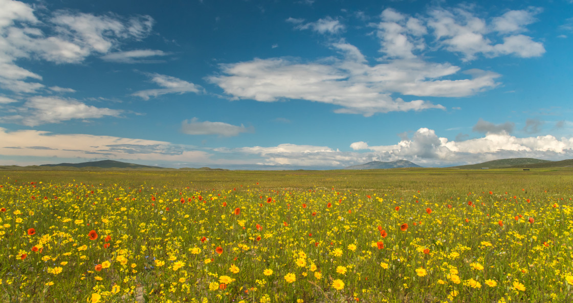 "Beautiful Machair, Berneray" stock image