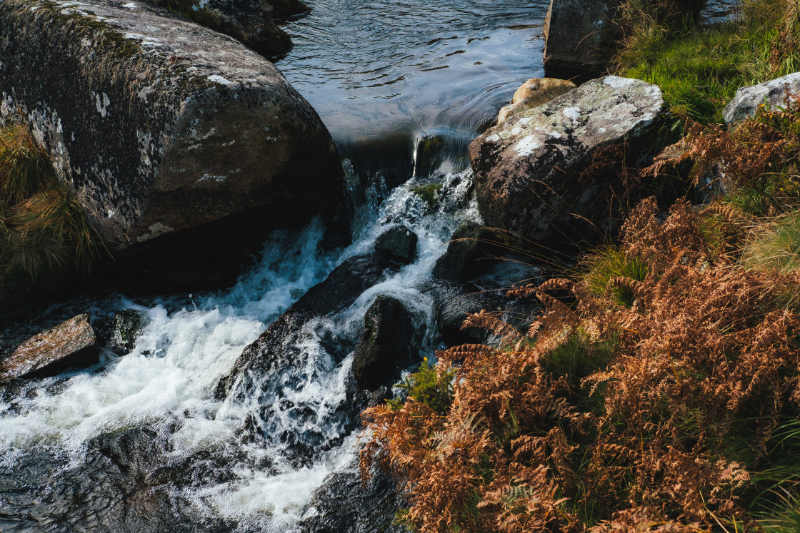 "A Dartmoor Stream" stock image