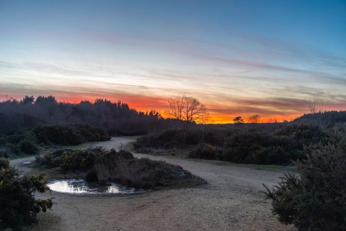 "Heathland at dusk" stock image