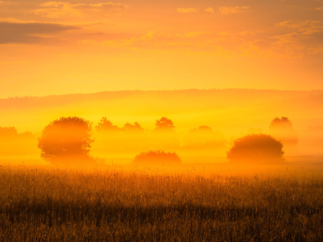 "Golden Sunrise Over a Misty Field in Mölndal, Sweden, Signaling the Start of a New Day" stock image