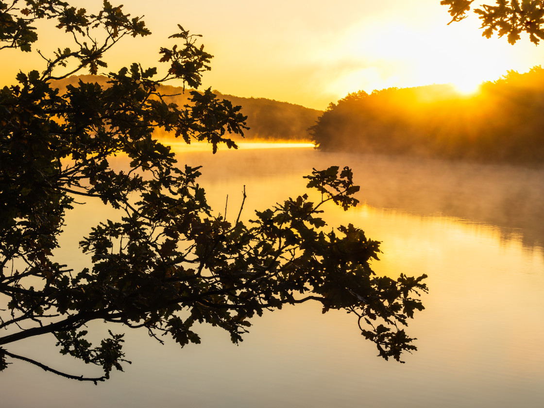 "Sun Rises Over Lake With Trees" stock image