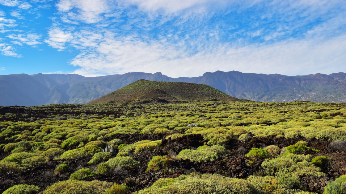 "Volcanic landscape at Badlands or Malpais de Guimar special nature reserve, Tenerife, Canary Islands" stock image