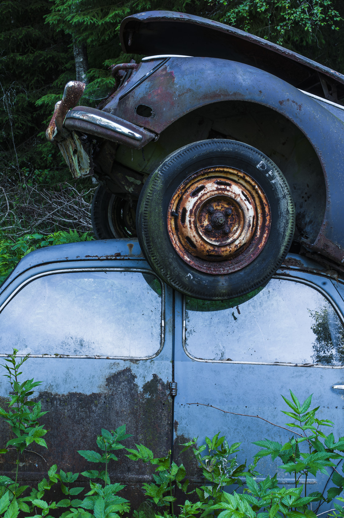 "Abandoned Cars Rusted in Forest" stock image