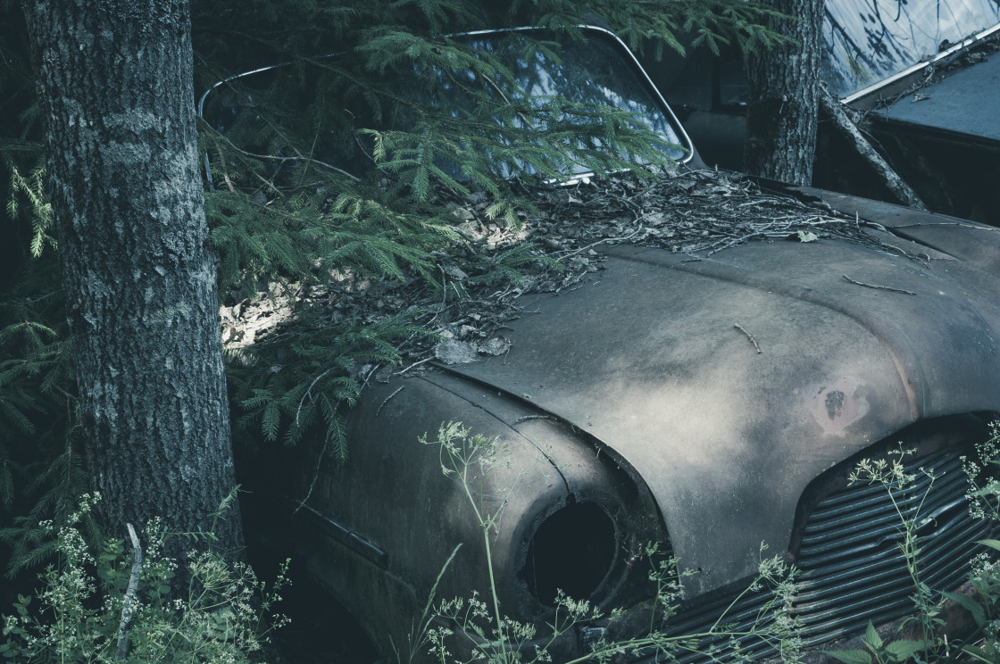 "Abandoned Car Found in Middle of Forest" stock image