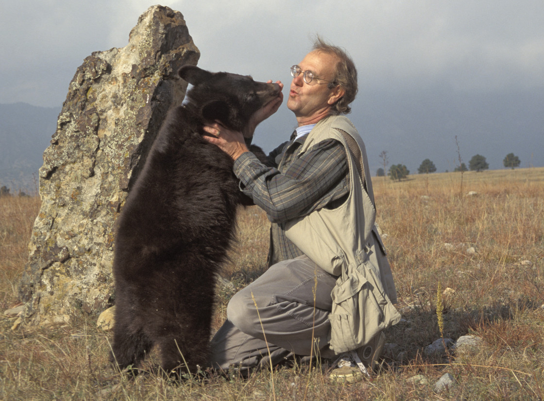 "Black bear with James Gritz" stock image