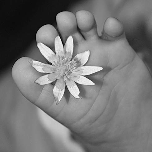 Babyfuss