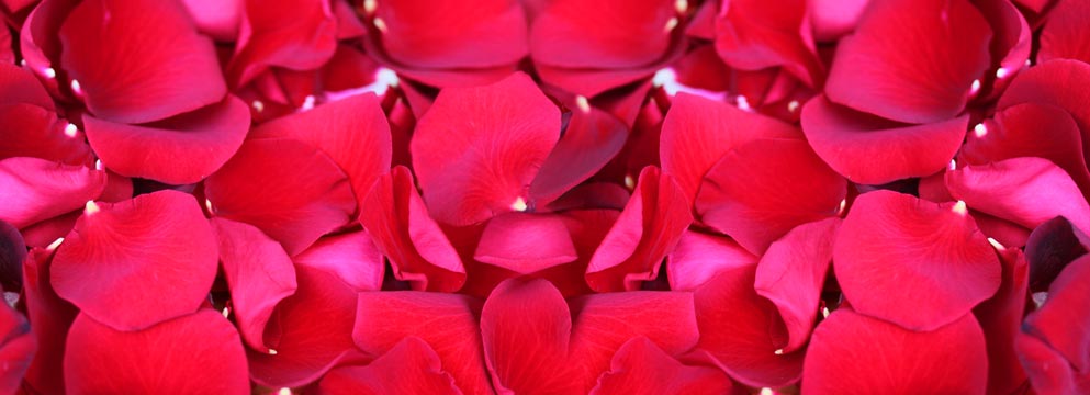 Valentinstag: Verliebt in die Liebe