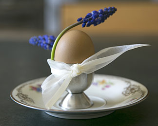 Frühstücksei mit Lavendel