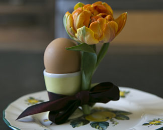 Frühstücksei mit oranger Tulpe