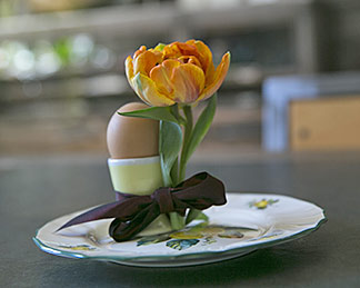 Frühstücksei mit Tulpe