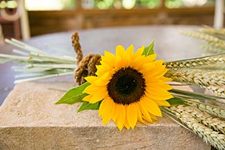 Getreidegarben und Sonnenblume