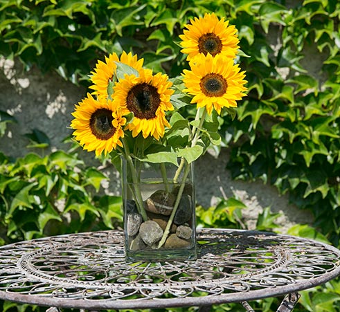 Sonnenblumen in Vase