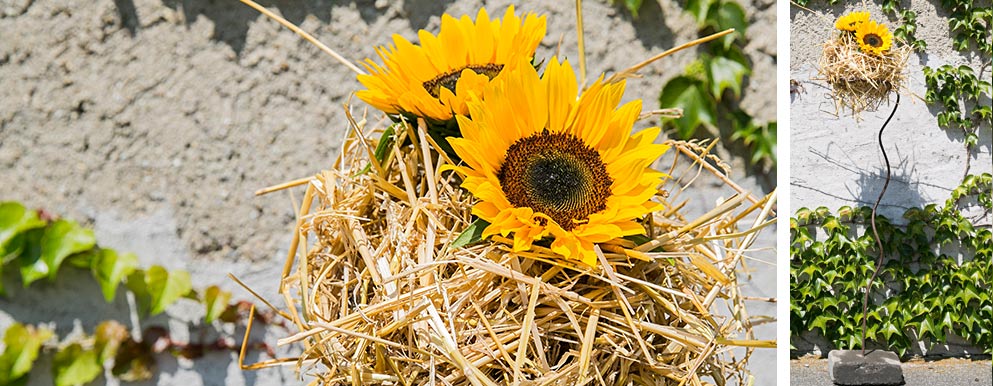 Sonnenblumen Ständer