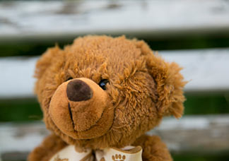 Teddybärenkopf