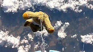 Fliegendes Teddybär