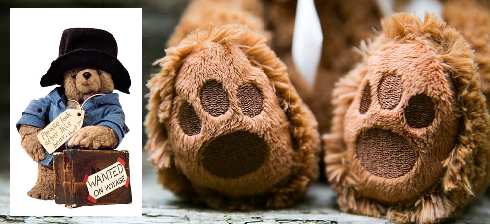 Paddington der Bär