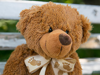Teddybär
