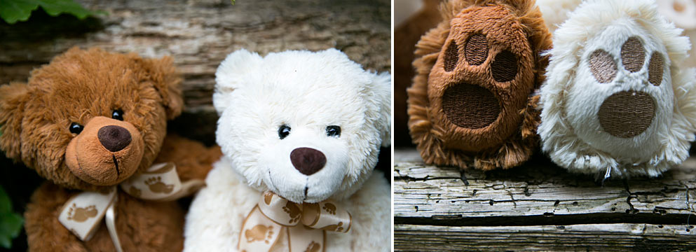 Blumen & Teddybären