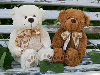 Teddybären-Duo auf Parkbank