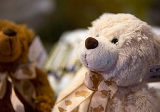 Teddybären