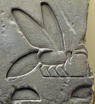 Biene im alten Ägypten