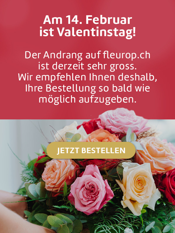 Fleurop Schweiz online 💐🎁 Blumen-Geschenke bestellen 🌍 🚚 Weltweite  Lieferung durch Blumengeschäft vor Ort, (Schweiz / weltweit)