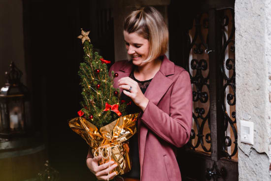 Petit arbre de Noël 