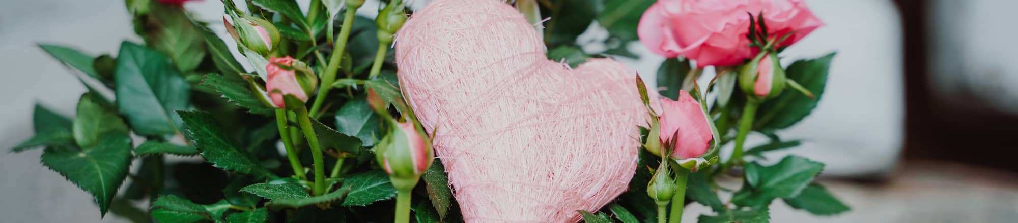 Blumen oder Pflanzen zum Muttertag? Was passt zu welcher Mami?