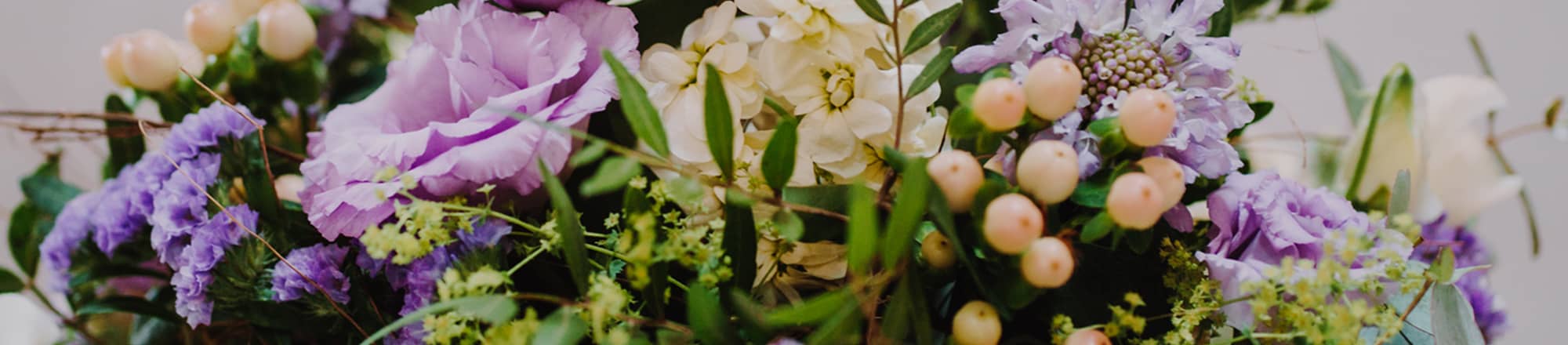 Finreon begeistert Kundschaft durch Charme-Offensive 