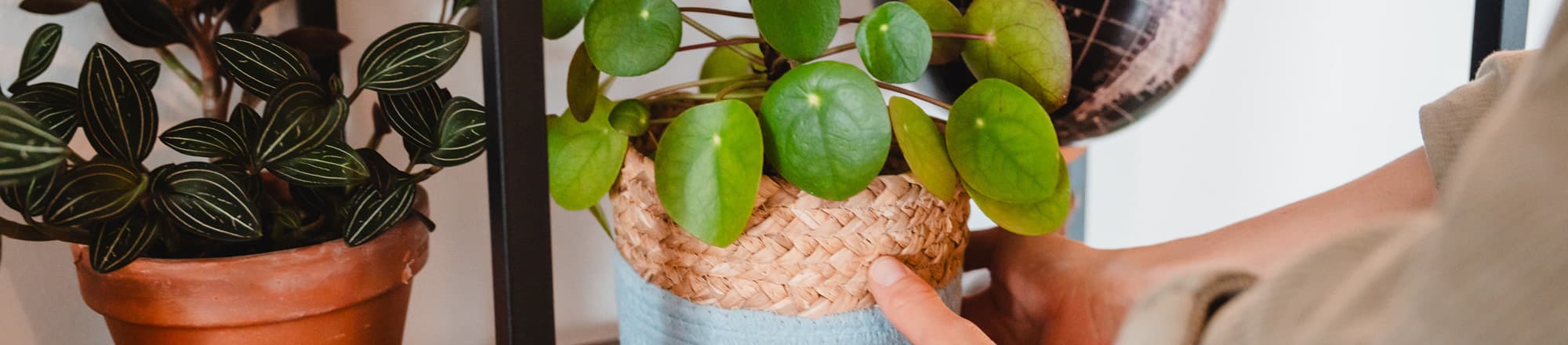 FleuropHOME - mit nachhaltigen und sozial engagierten Anbietern