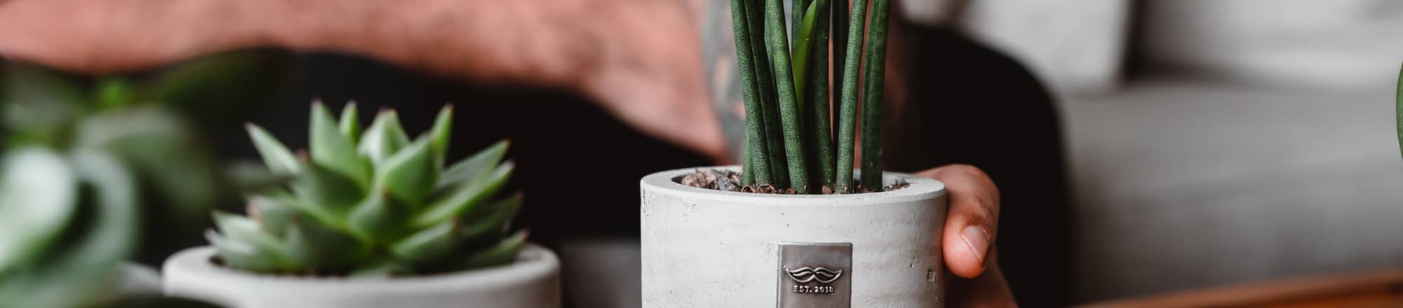 Cadeaux cools de la Saint-Valentin pour LUI