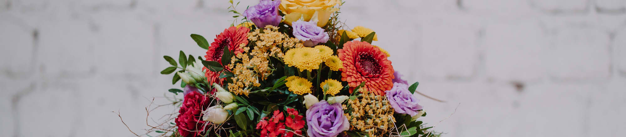 FAQ su modifiche, annullamenti e reclami