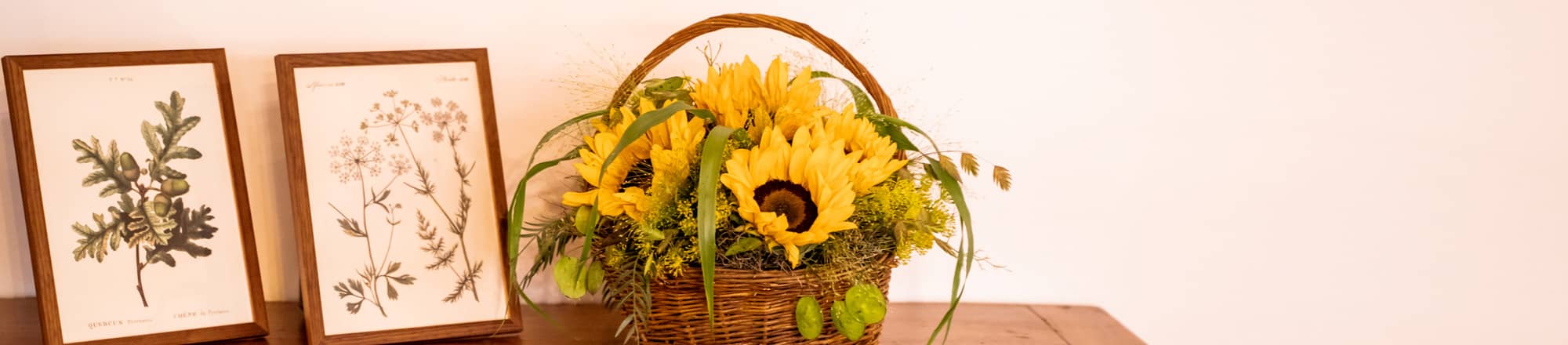 Portate l'estate in casa vostra 