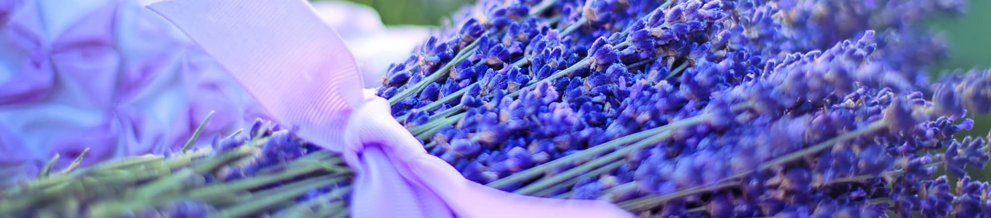 Hydrangeas & Lavender