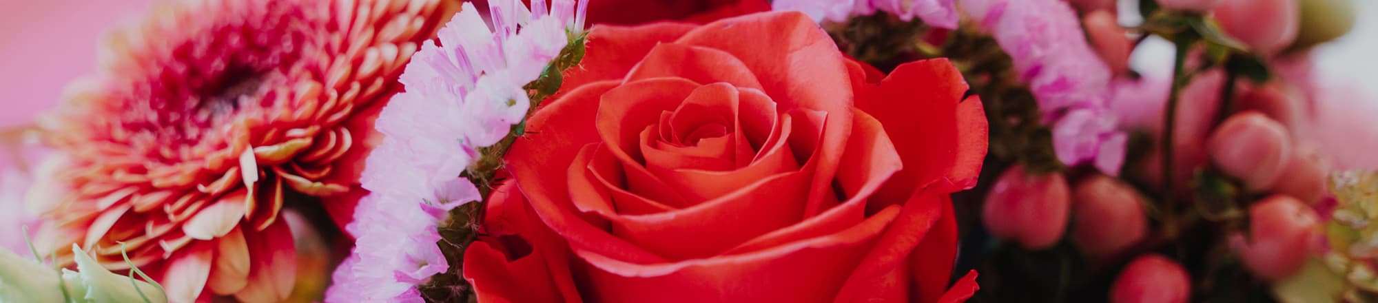 NUOVO – Regalare fiori con TWINT