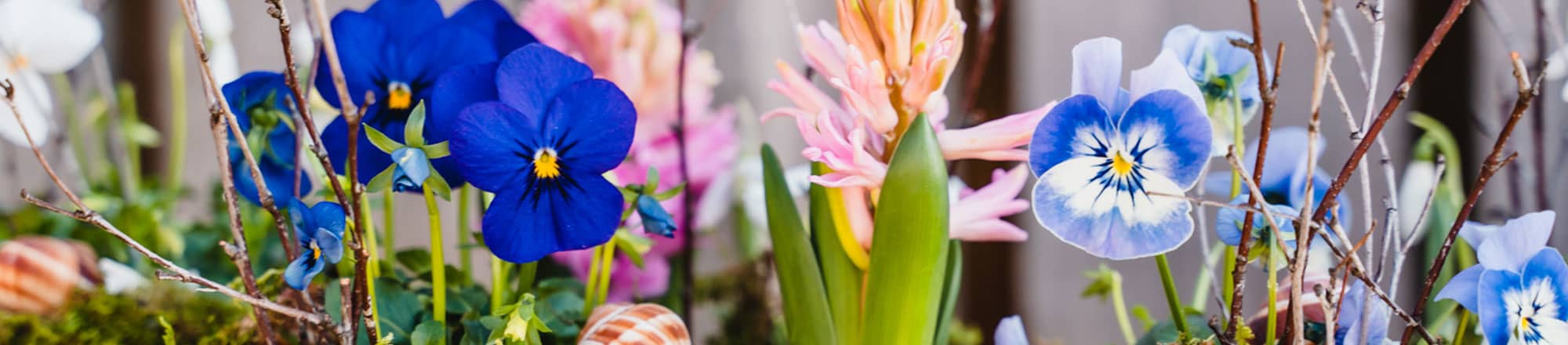 Dekotipps Frühling - bunt, fröhlich und cool 